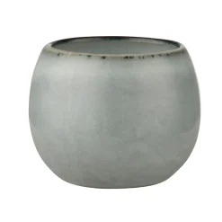 Amera Eggeglass