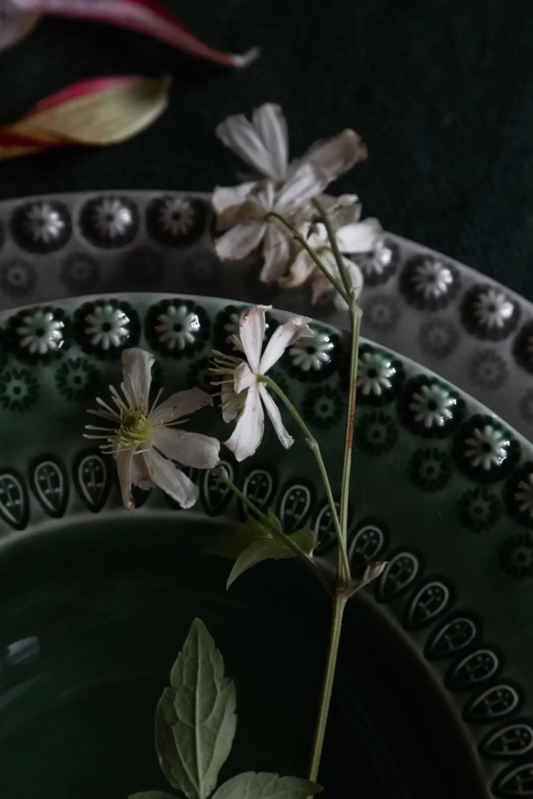 Daisy Dyp Tallerken O 21 Cm 2-Stk.