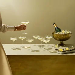 Eva Solo Coupe Champagneglass
