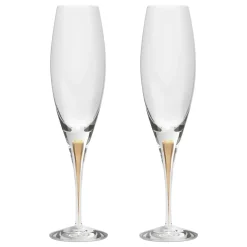 Intermezzo Champagneglass 26 Cl 2-Pakning