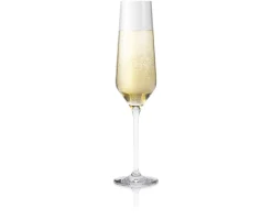 Legio Nova Champagneglass 26 Cl
