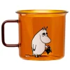 Moominpappa Glasskopp 35 Cl