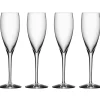 More Champagneglass 4-Pakk