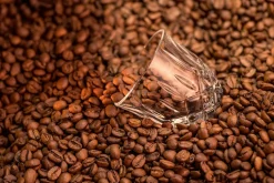Noblesse Barista Espresso Glass 9 Cl 2-Pakning