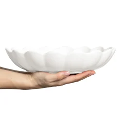 Oyster Ostronskal 31 Cm