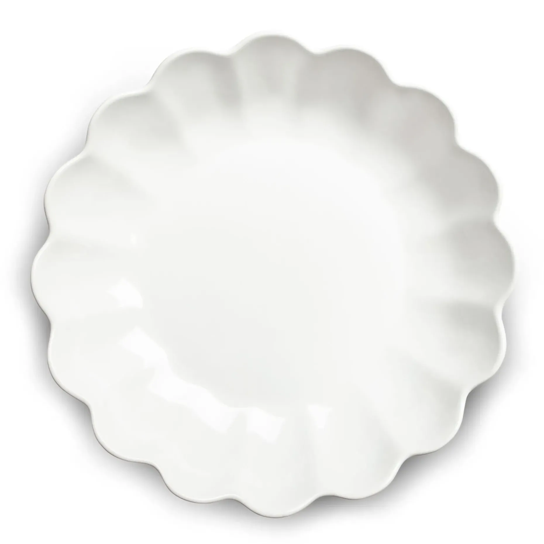 Oyster Ostronskal 31 Cm