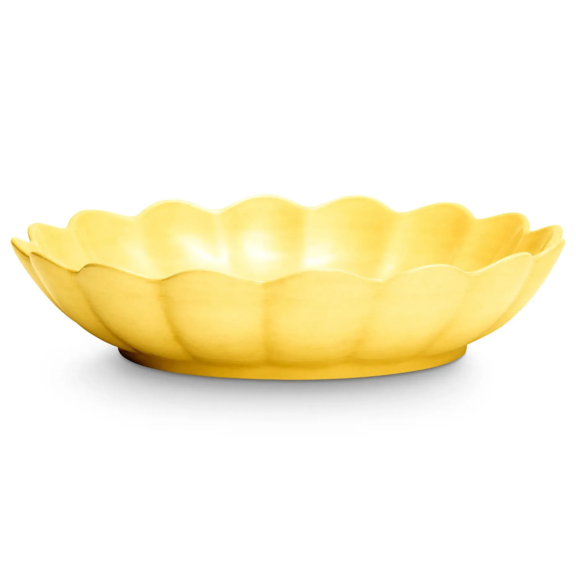 Oyster Ostronskal 31 Cm