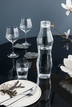 Perfection Vannglass Klar 6-Pakning