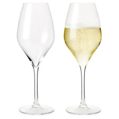 Premium Champagneglass 37 Cl 2-Pakning