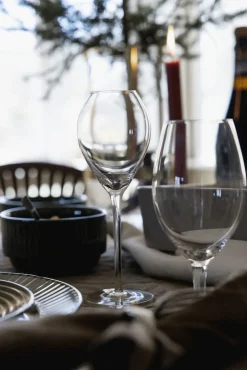 Saga Champagneglass 2-Pakning