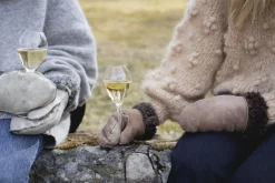 Saga Champagneglass 2-Pakning